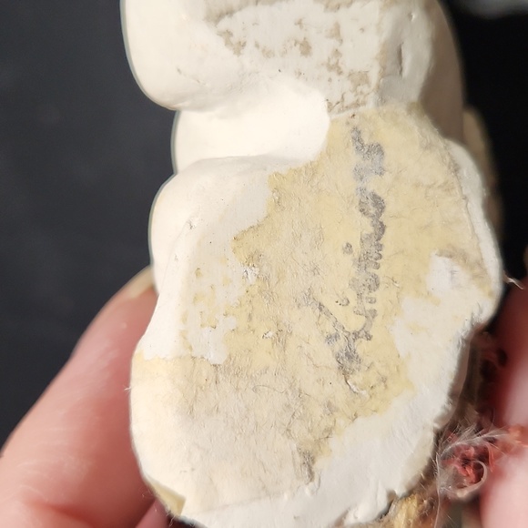 Dreamsicles laying down - Picture 9 of 11